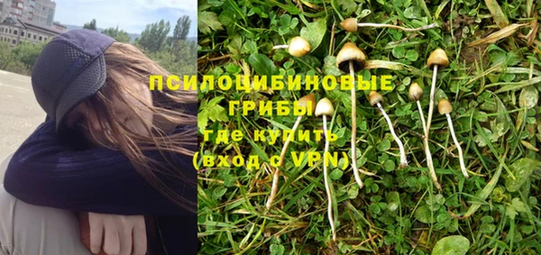 не бодяженный Абдулино